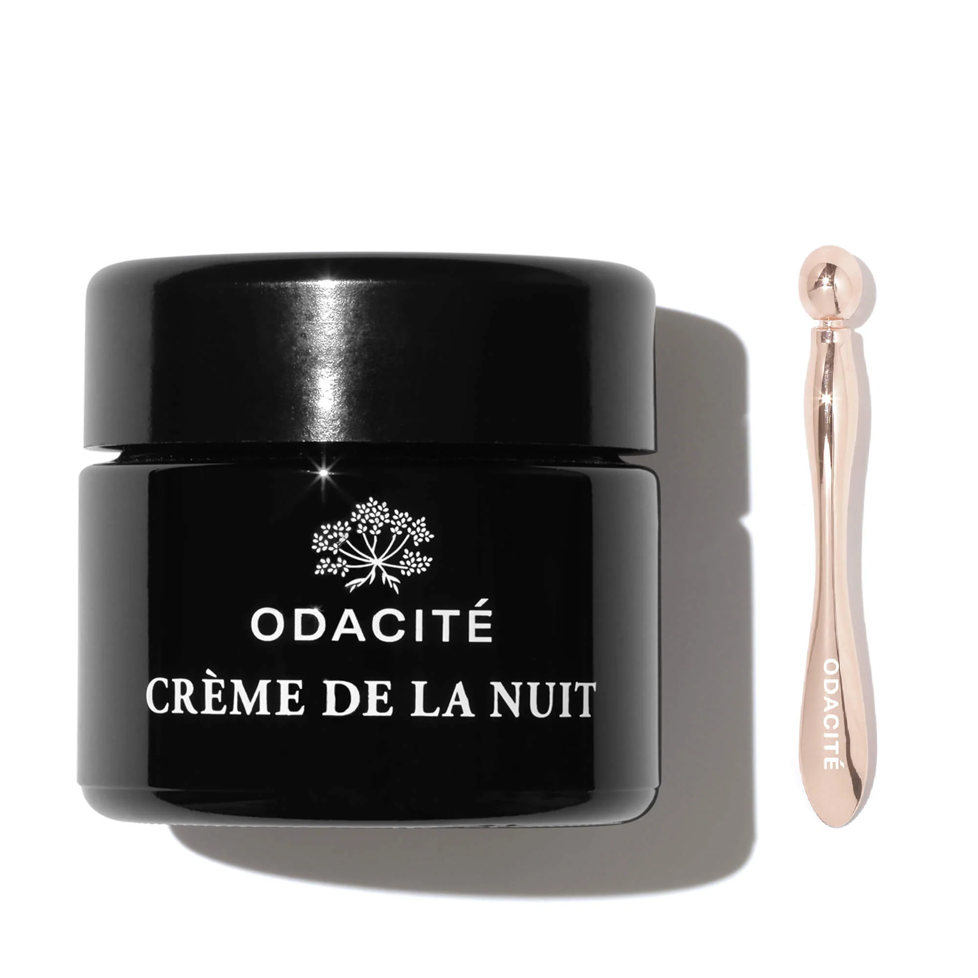Vitamin C + Ashwagandha Night Cream