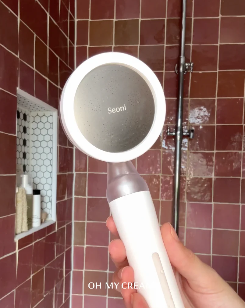 Showerhead with Filter - Image 11