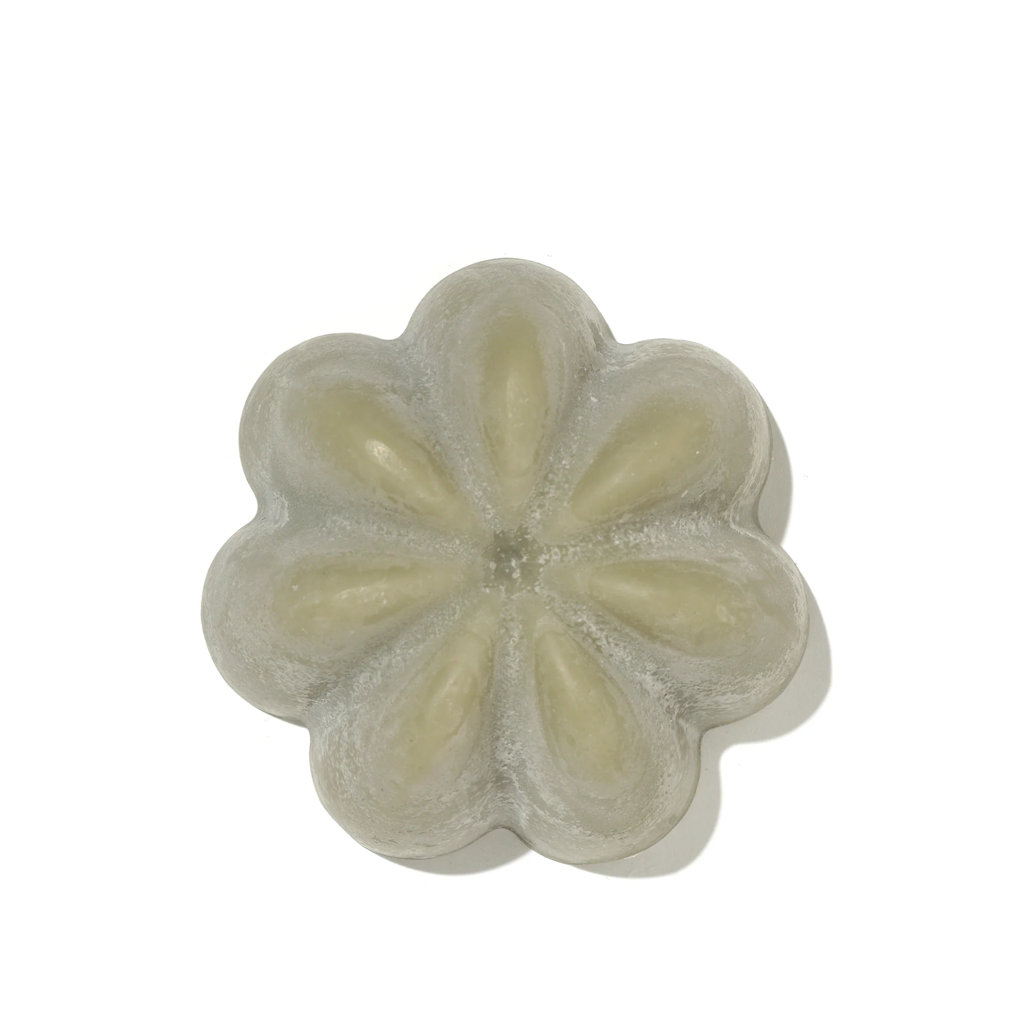 The Rebalancing Solid Shampoo