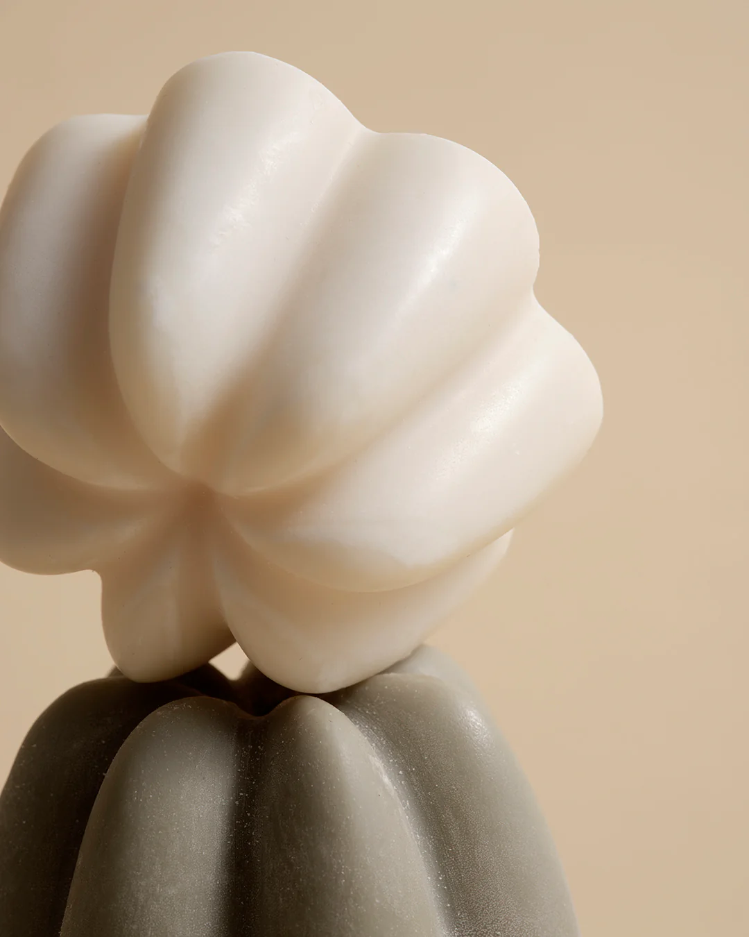 The Rebalancing Solid Shampoo - Image 2